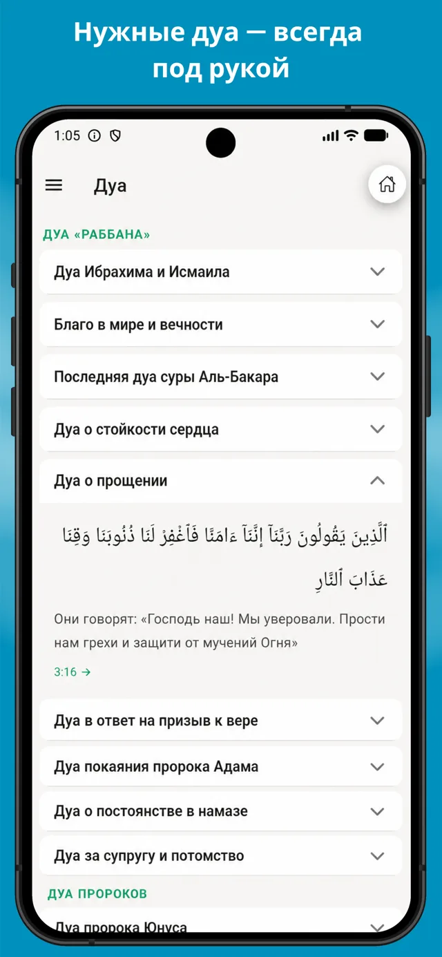 Shejire Kuran 6
